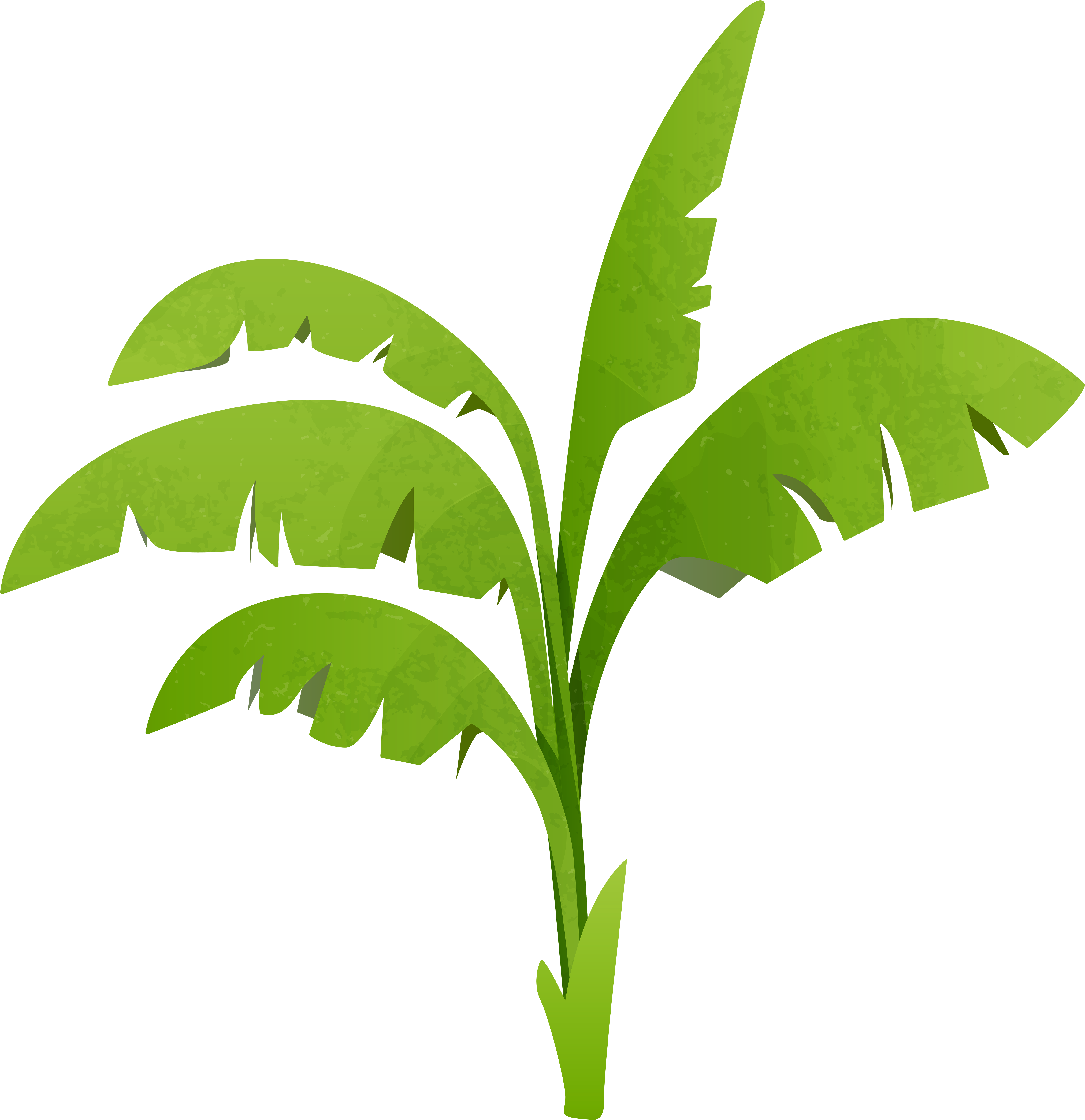 Tree Planting Clipart - Plant Clip Art Png (5814x6000), Png Download