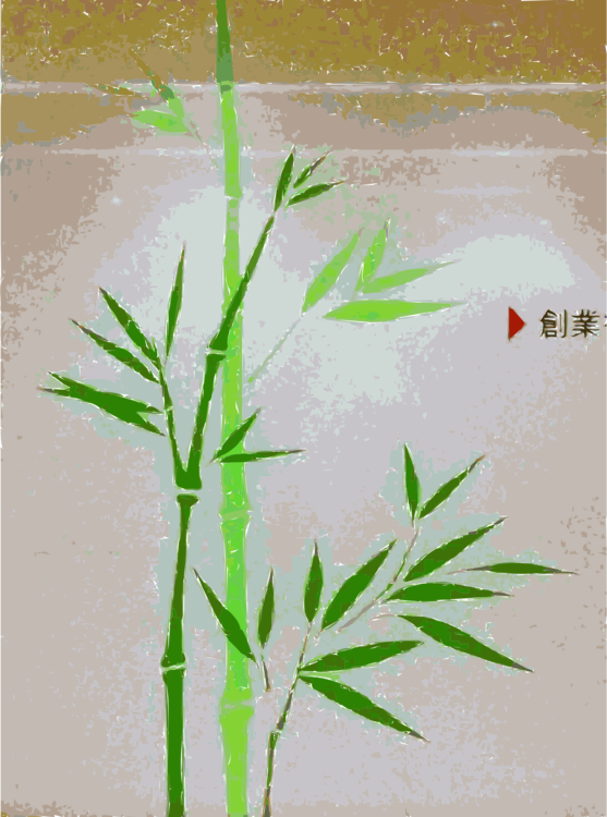 Transportation Bamboo Computer Icons Drawing - Bamboo (557x750), Png Download