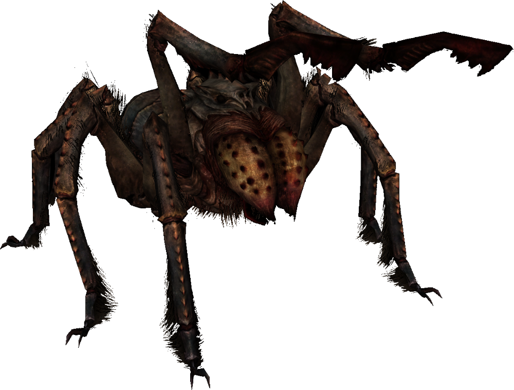 Cartoon Images Of Spiders - Skyrim Spider (1000x758), Png Download