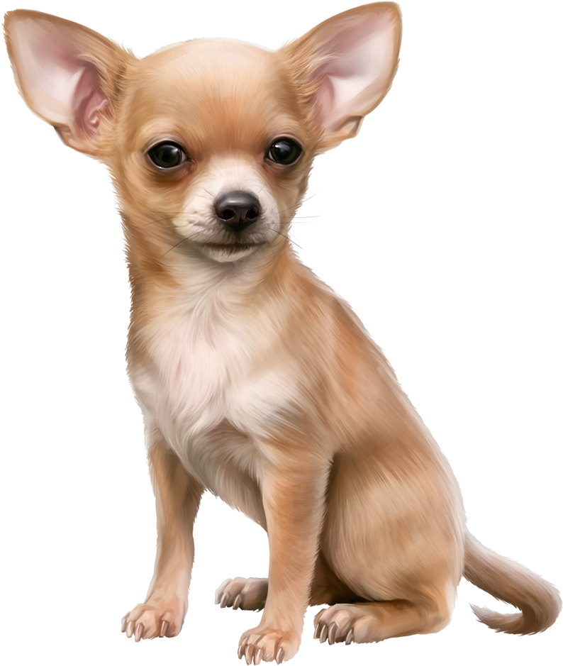 Pin By ~girly❤️girl~ On Dog 3d Tubes 1 ➡ - Chihuahua Clip Art (859x1200), Png Download