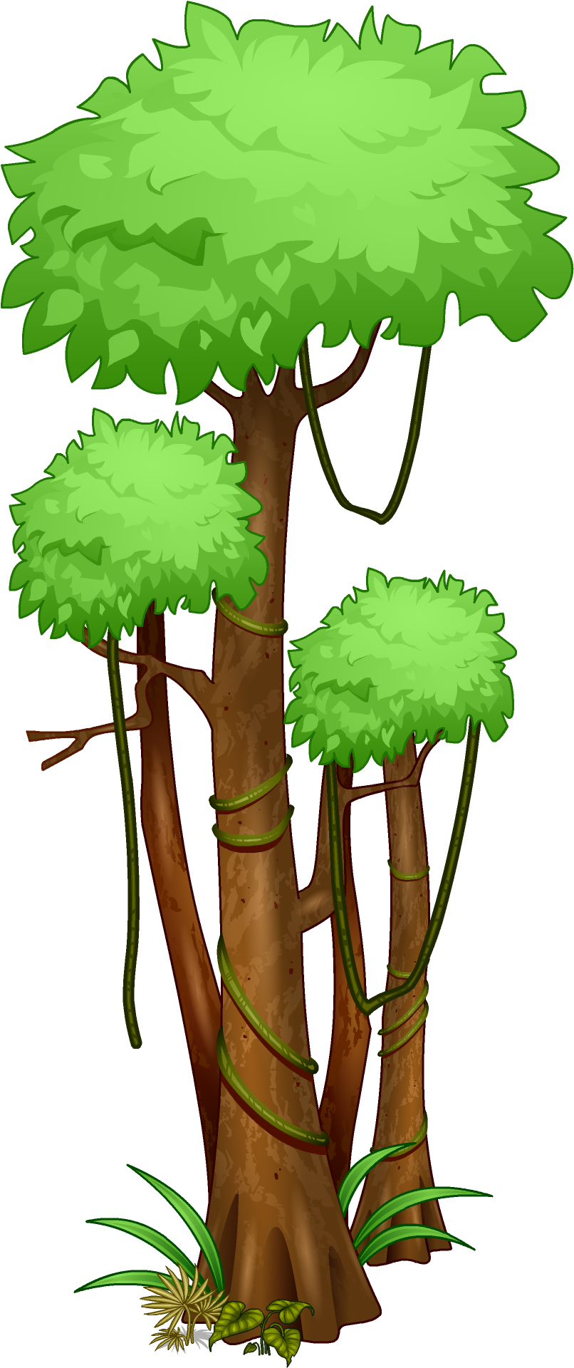 Graphic Black And White Download Trees Drawing At Getdrawings - Amazon Rainforest Clipart (1080x1920), Png Download