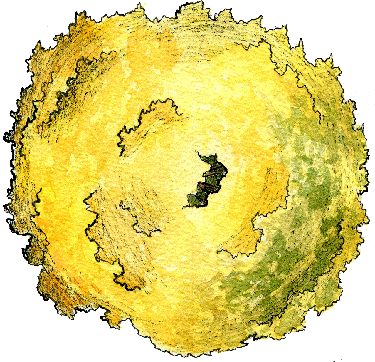 Free Free Shrub Png Plan View - Watercolor Painting (1283x1247), Png Download