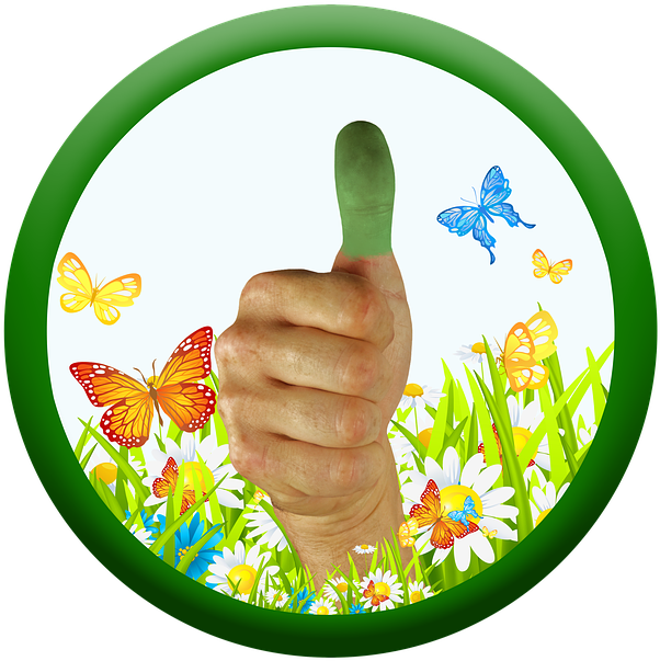 Thumb, Green Thumb, Thumbs Up, Nature, Care, Positive - Green Thumb (960x640), Png Download