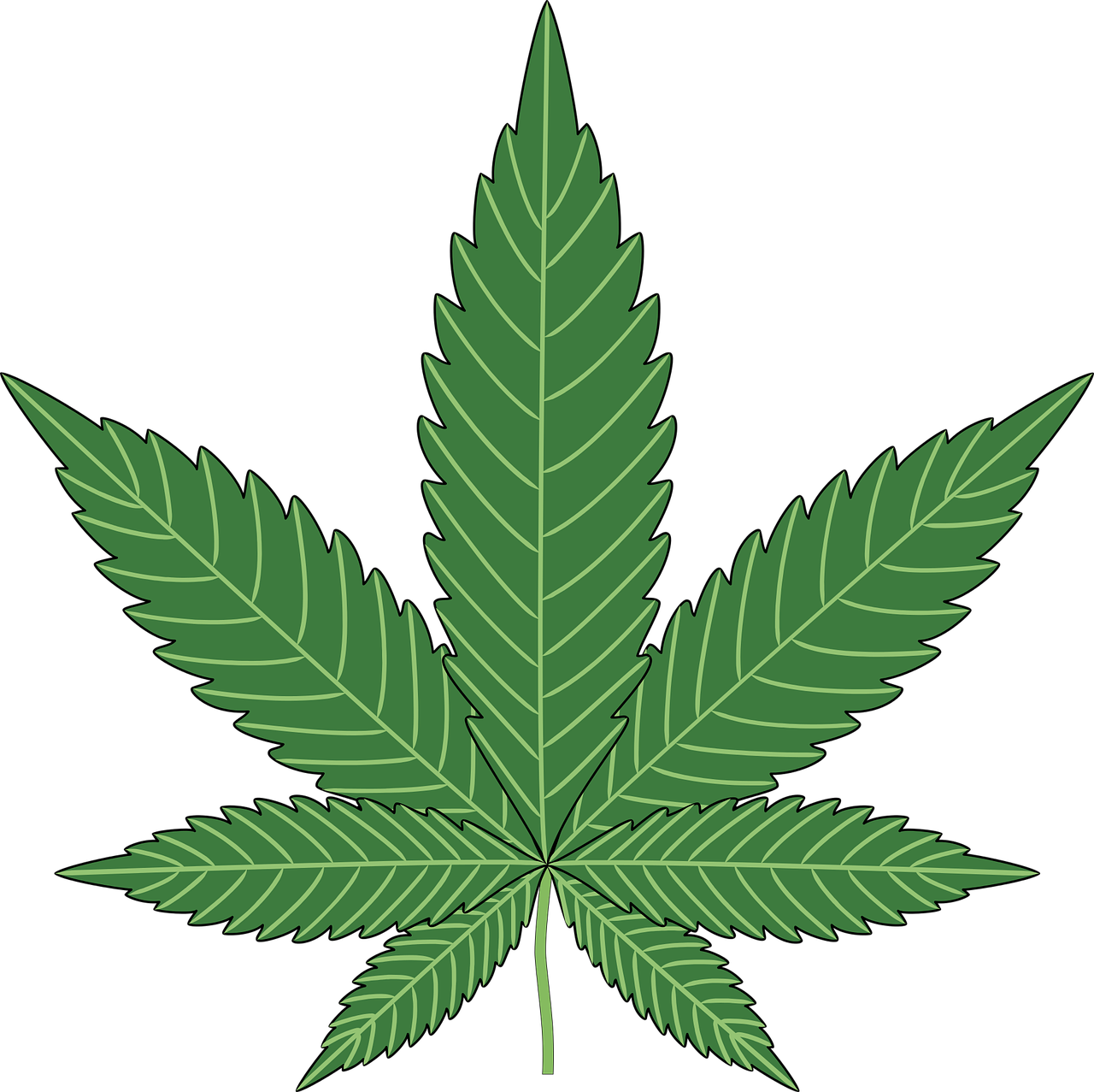 Real Weed Leaf Png Marijuana Clipart Transparent Full Size Png Download Seekpng