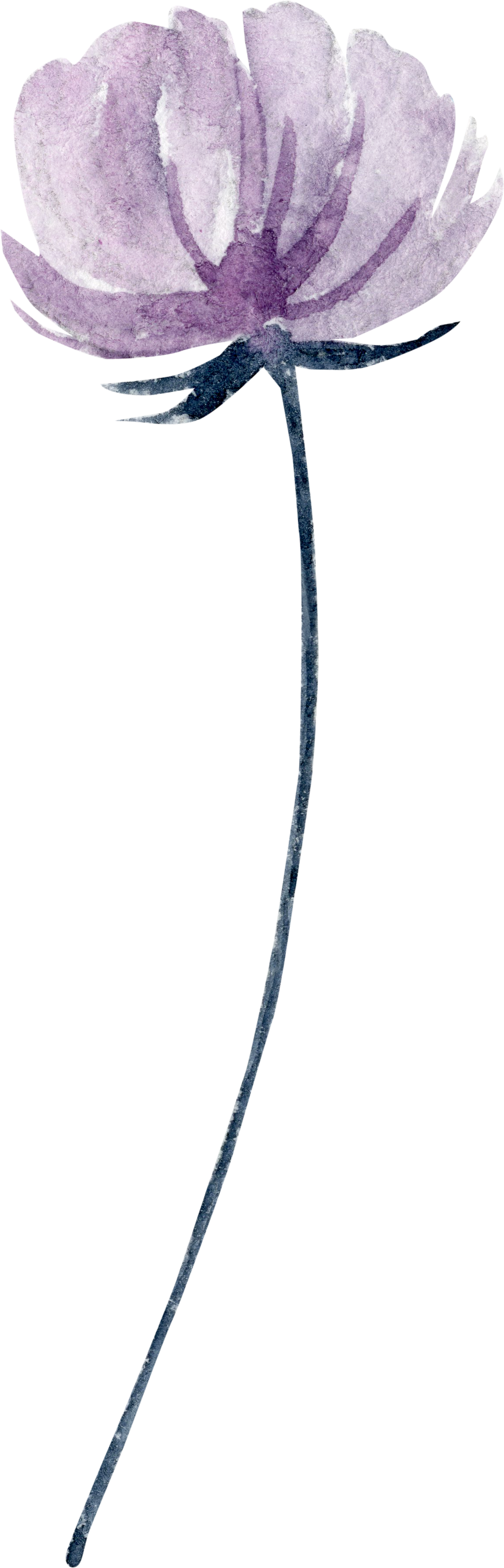 Flr - Cable (1150x3581), Png Download