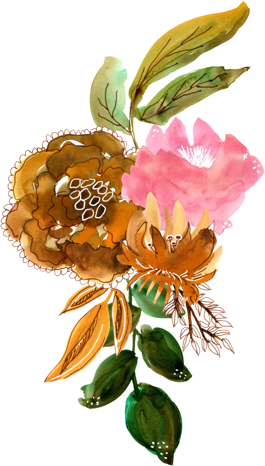 Hand Painted Brown Watercolor Flower Png Transparent - Portable Network Graphics (1024x1602), Png Download
