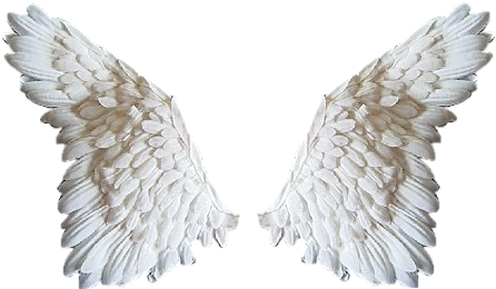 Jak Wyglda Niebo - Angel Wings Png File (454x268), Png Download