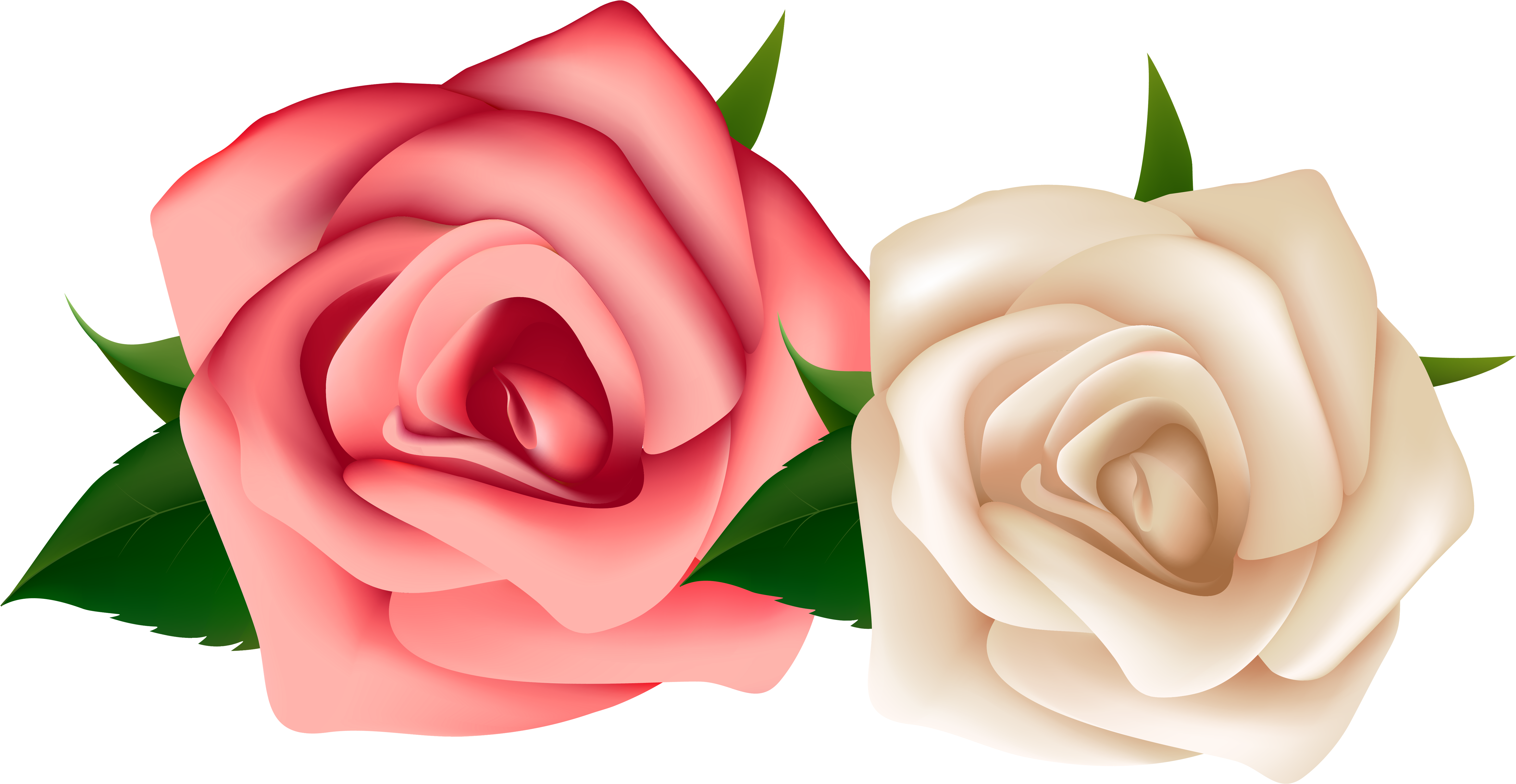 Watercolor Blush Pink And White Roses C - Red And White Rose Png (6332x3349), Png Download