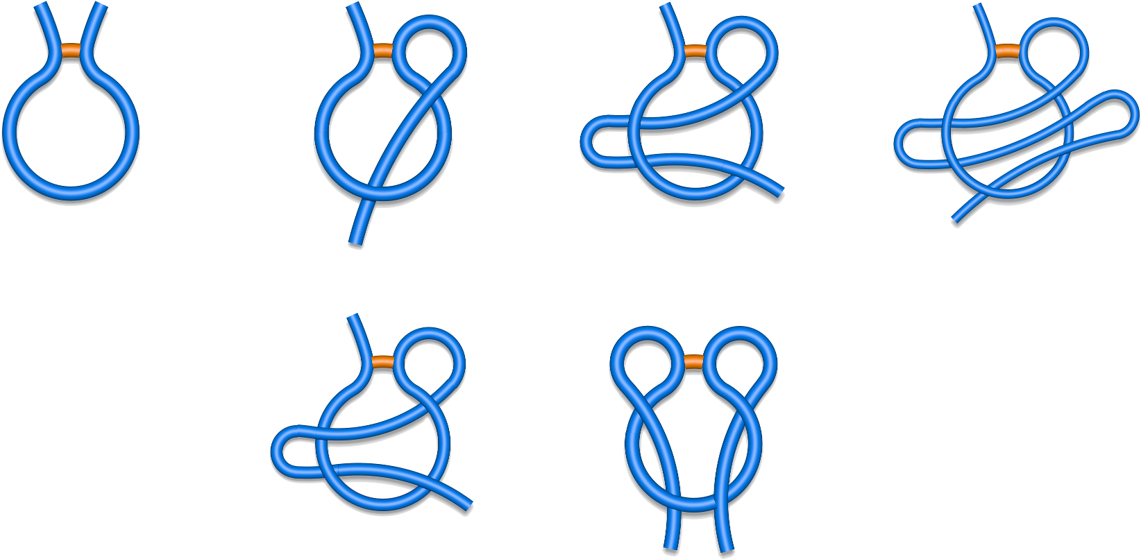 1 Schematic Depiction Of Major Classes Of Lasso Typesfound (1800x900), Png Download