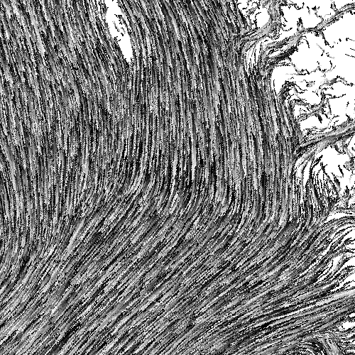 The End Result Were Rich Animations Based On Data Encoded - Drawing (500x500), Png Download