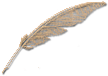 Image Gallery For - Feather (480x480), Png Download