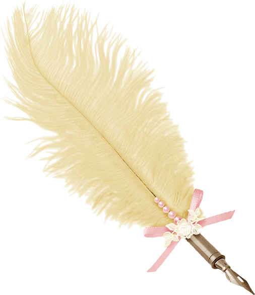 Peacock Feather Pen Png - Jpeg (629x597), Png Download