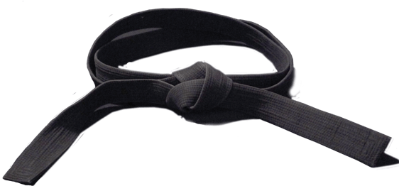 Karate Black Belt - Black Belt Png (580x262), Png Download