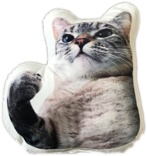 Nala - Cat (640x640), Png Download