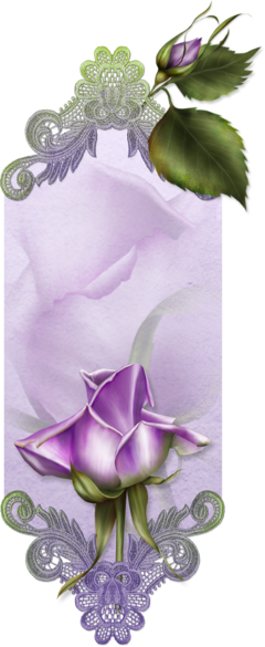 Message Freetoedit - Label (240x585), Png Download