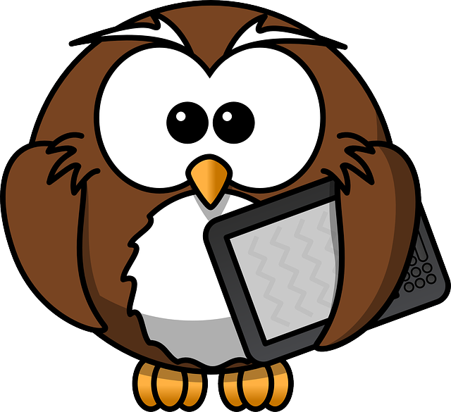 Owl, Animal, Bird, Book, E-book, Funny, Kindle - Cartoon Owl Shower Curtain (640x585), Png Download