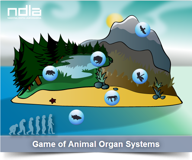 Boardgame - Cartoon (1060x622), Png Download