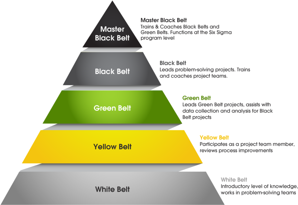 Six Sigma Belt Levels (1024x742), Png Download