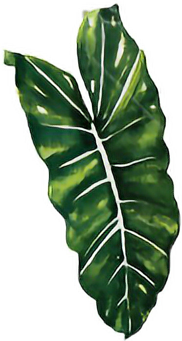 Report Abuse - Karuilu Home Japanese Noren Doorway Curtain / Tapestry (372x696), Png Download