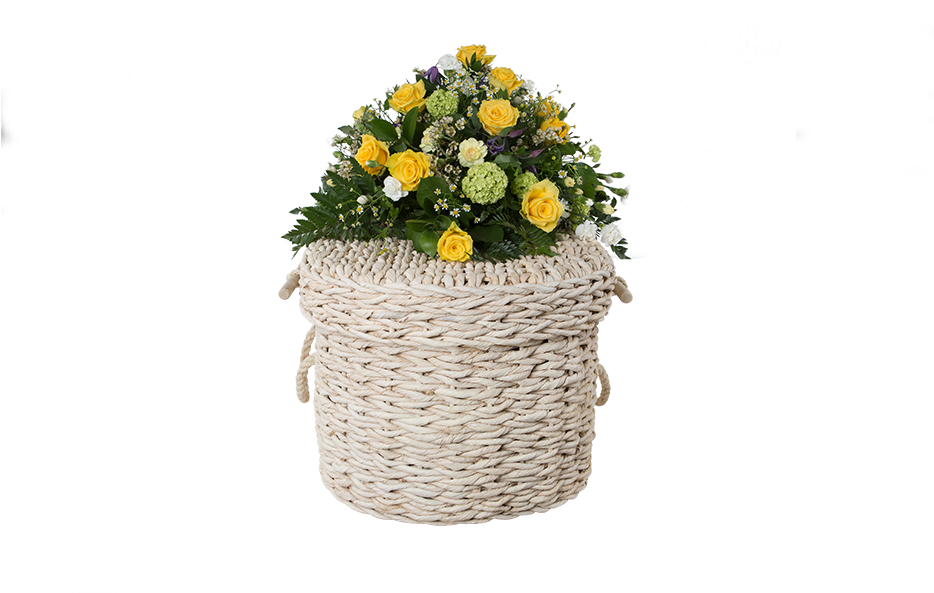 Coffin (1000x600), Png Download