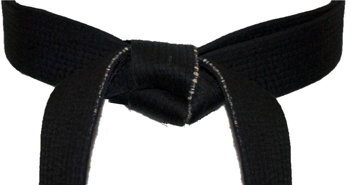 Karate Questions And Answers - Blood, Sweat & Taekwondo: The Gold Medal Training (1200x630), Png Download