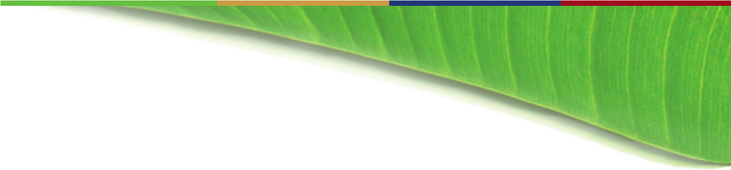 ิ Banana Leaf Bg (1499x350), Png Download