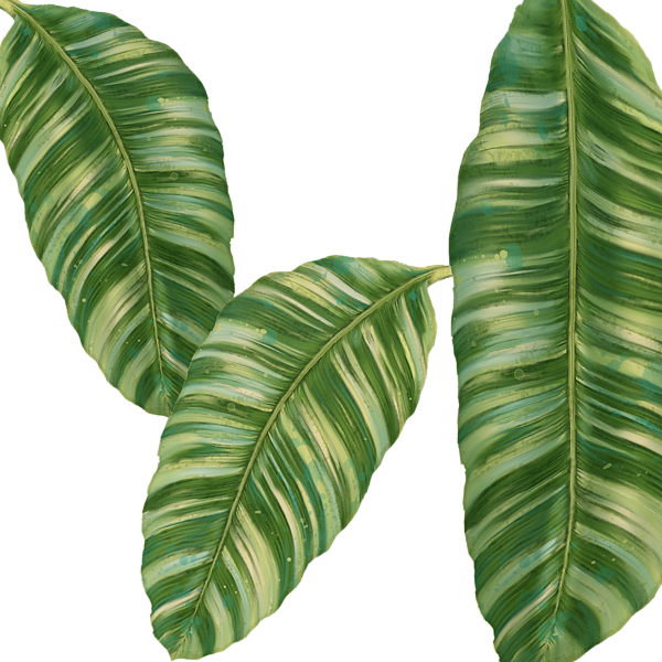 Click And Drag To Re-position The Image, If Desired - Rainforest Resort - Tropical Banana Leaf (600x600), Png Download