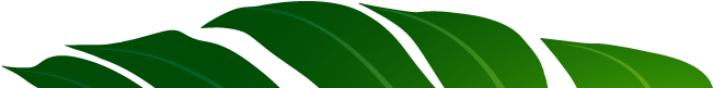 E (1280x480), Png Download
