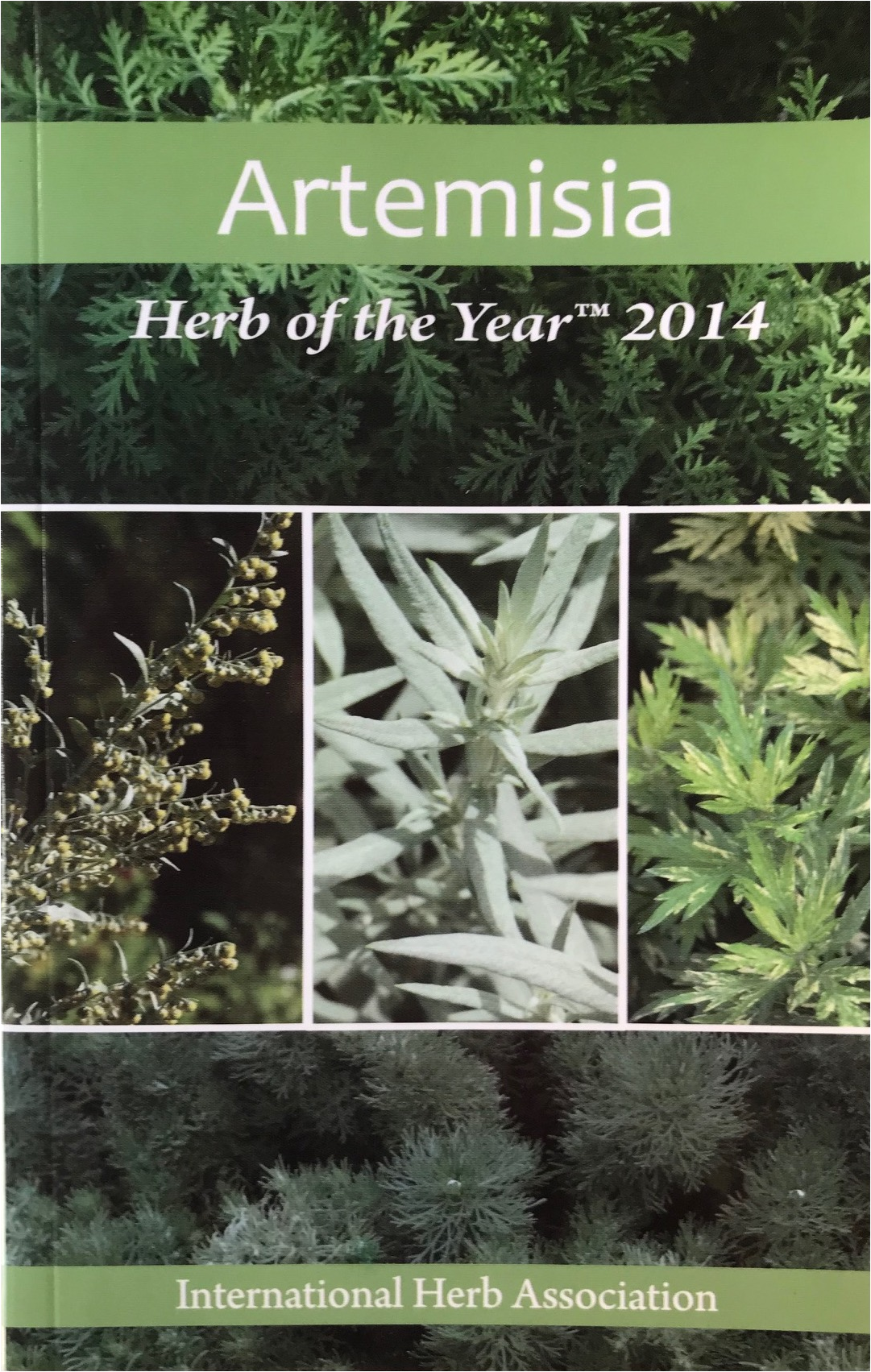 Herb Of The Year™ - Plantation (1800x1800), Png Download