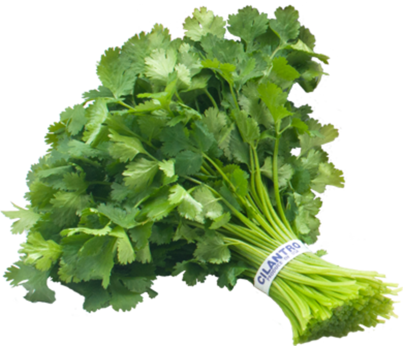 Cilantro, Mexican Coriander Imagenes De La Cilantro (390x335), Png