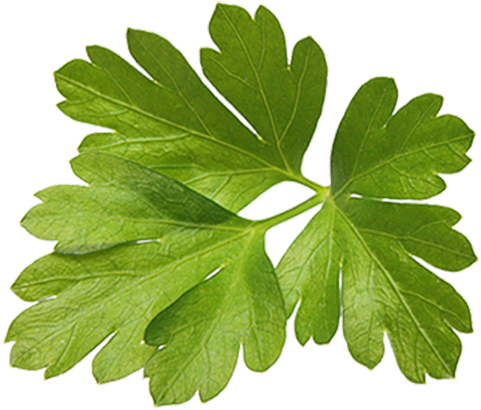 La Justicia Española Acaba De Detener Y Encarcelar - Magnetic Cooking Timer By Gefu (568x425), Png Download