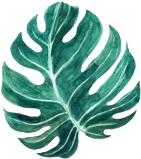 Leaf9 - Monstera Leaf Png Transparent (329x373), Png Download