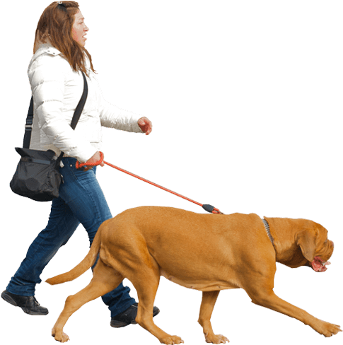 People-3 - People Walking With Dog Png (715x539), Png Download