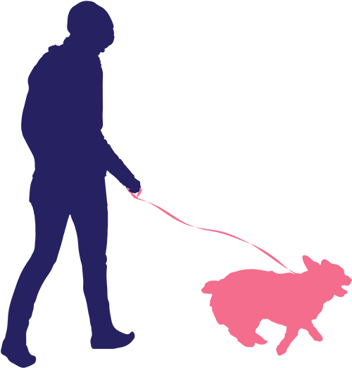 Dog Walking And Pet Feeding - Black Silhouettes People Png Walking (900x600), Png Download