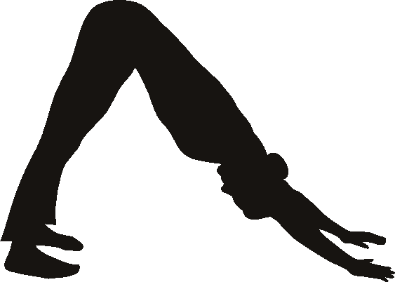 Yoga Downward Dog Transparent Png - Adho Mukha Svanasana Silhouette (563x402), Png Download