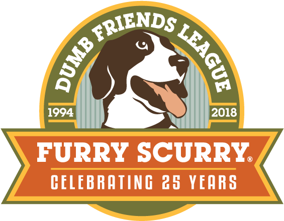 The Furry Scurry Dog Walk, Held In Denver's Washington - Roberto Clemente: Young Ball Player [book] (578x458), Png Download