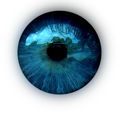 Free Eye Blue Psd Vector Graphic - Dark Blue Eyes (400x381), Png Download