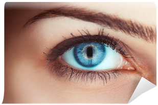 Close Up Photo Of Woman's Blue Eye Wall Mural • Pixers® - เขม่น ตา (400x400), Png Download