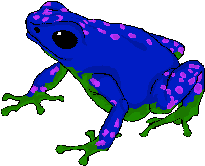 Poison Dart Frog Transparent Images Png - Poison Dart Frog Png (464x373), Png Download