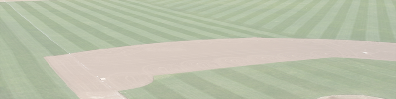Baseball Diamond Custom Banner - Artificial Turf (800x200), Png Download
