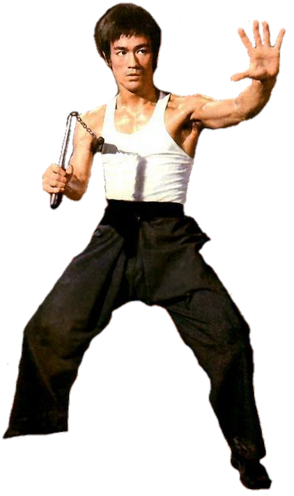 Photo - :: Way Of The Dragon :: Dvd (530x853), Png Download