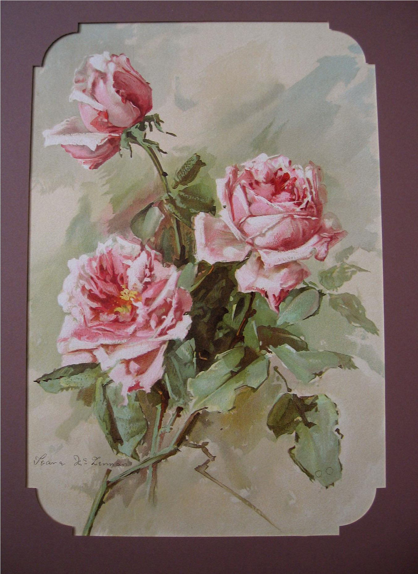 C1897 Pink La France Roses Print Teana Mc Lennan Hinman - Art (1858x1858), Png Download