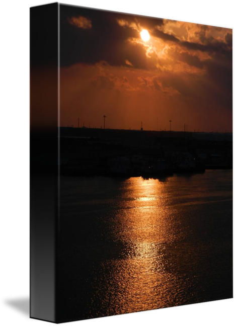 Sunrise In Florida By Chris Black Clip Art Transparent - Drawing (469x650), Png Download