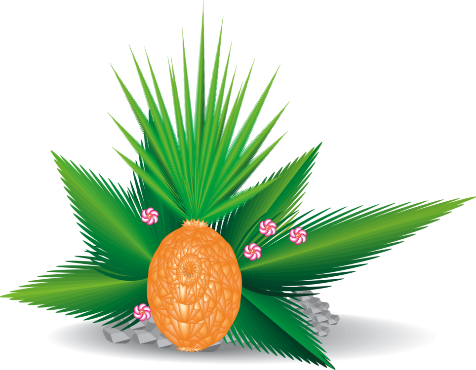 Leaf Palm Trees Drawing Plants - Folhas Da Planta Palmeira (964x750), Png Download