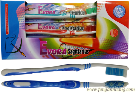 Evora Toothbrush - Municipality Of Évora (455x312), Png Download