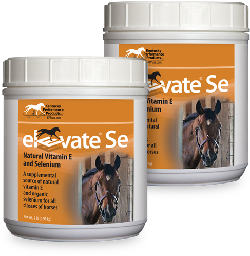 Elevate Se Natural Vitamin E Selenium Supplement Horses - Vitamin Se (600x600), Png Download