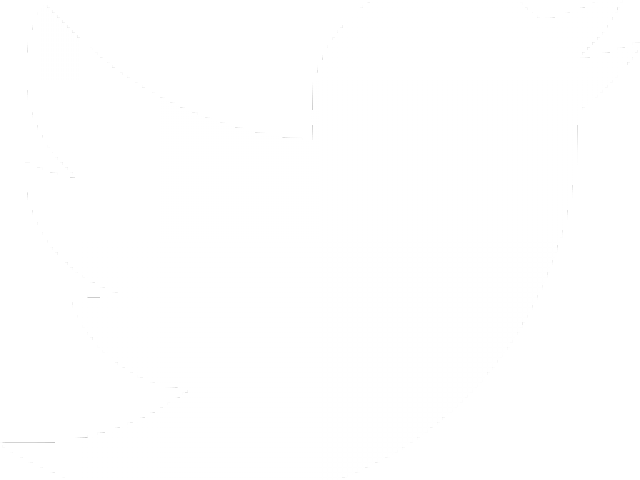 Twitter Vector Logo White (640x480), Png Download
