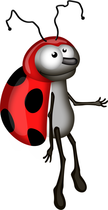 411 X 800 6 - Ladybird Beetle (411x800), Png Download