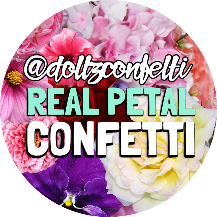 50 Bolsas De Boda Natural Real Pétalo Rosa Marfil Biodegradable - Moth Orchid (746x746), Png Download