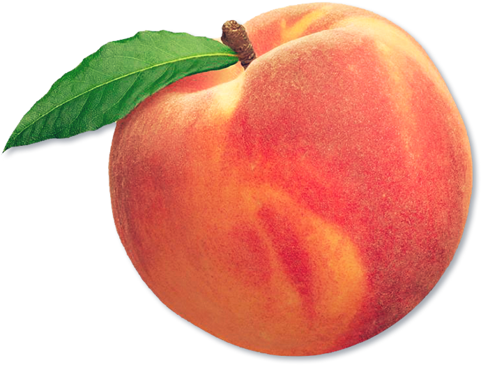 Peach Fruit (750x558), Png Download